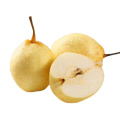 High quality Chinese crop sweet and juicy Ya pear with low price